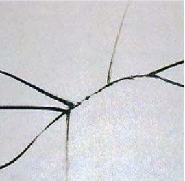 腾博会官网 - 诚信为本,专业效劳!